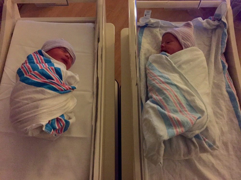 Side by side in their bassinets - 1 day old 