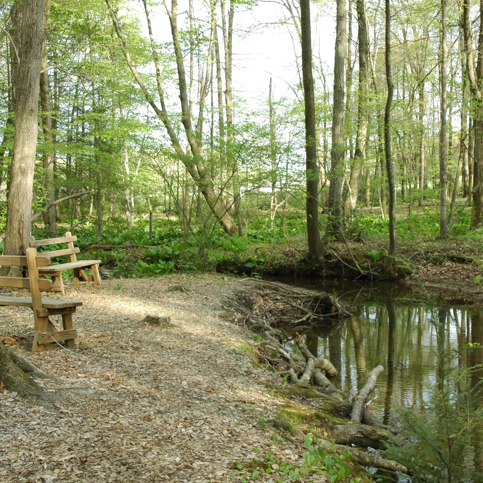 Baptismal+Area.jpg