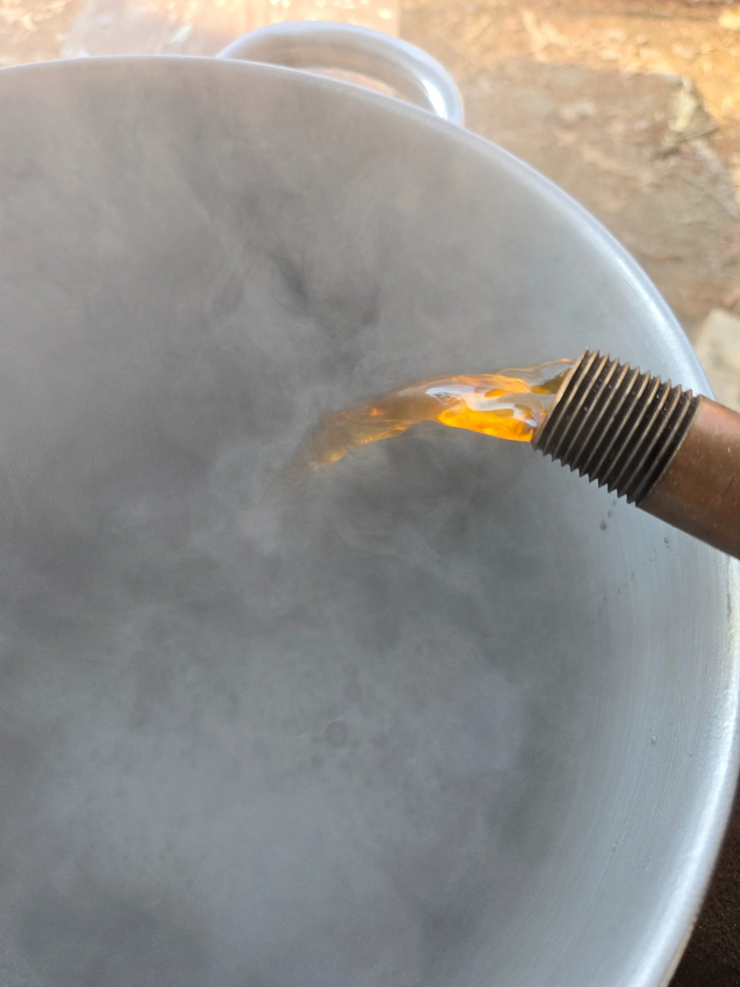 Maple Syrup Making 101 - Outdoor Education &amp; Family Event