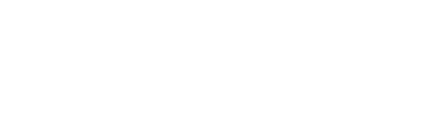 The Institute for Critical Social Inquiry (ICSI)