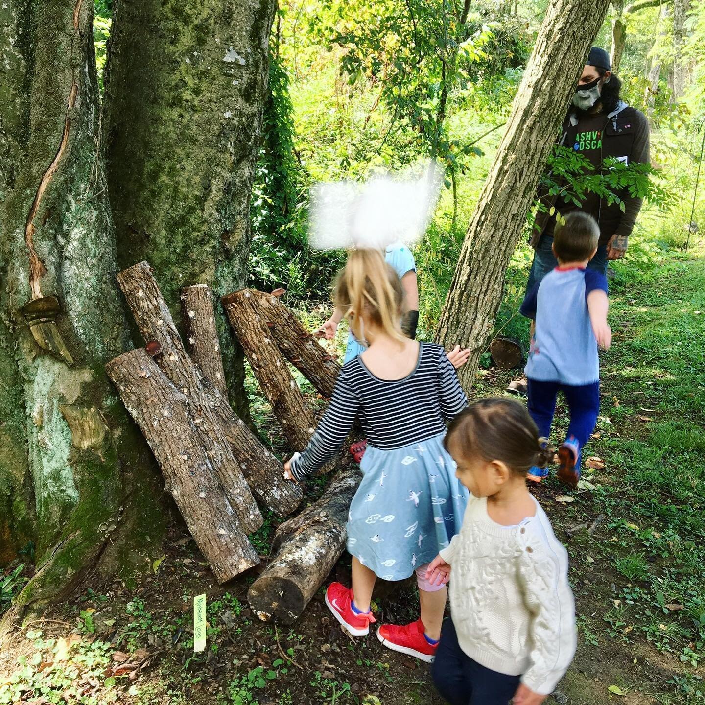 Many of the children were able to learn about mushrooms this week! @nashvillefoodscapes brought us several mushroom logs and gave informative talks about different mushroom types, how they grow, and where they thrive. Many thanks to Garden Chair Marg