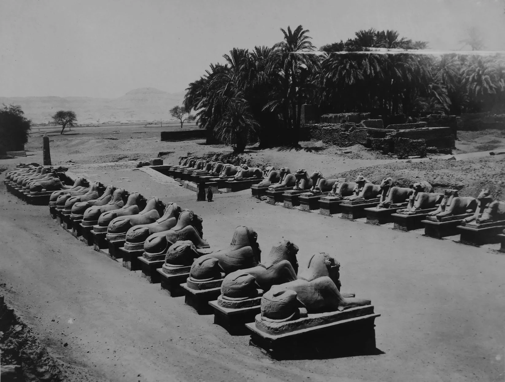 Rows of sphinx at Karnak, image from the Kovar Collection, auctioned 2014.