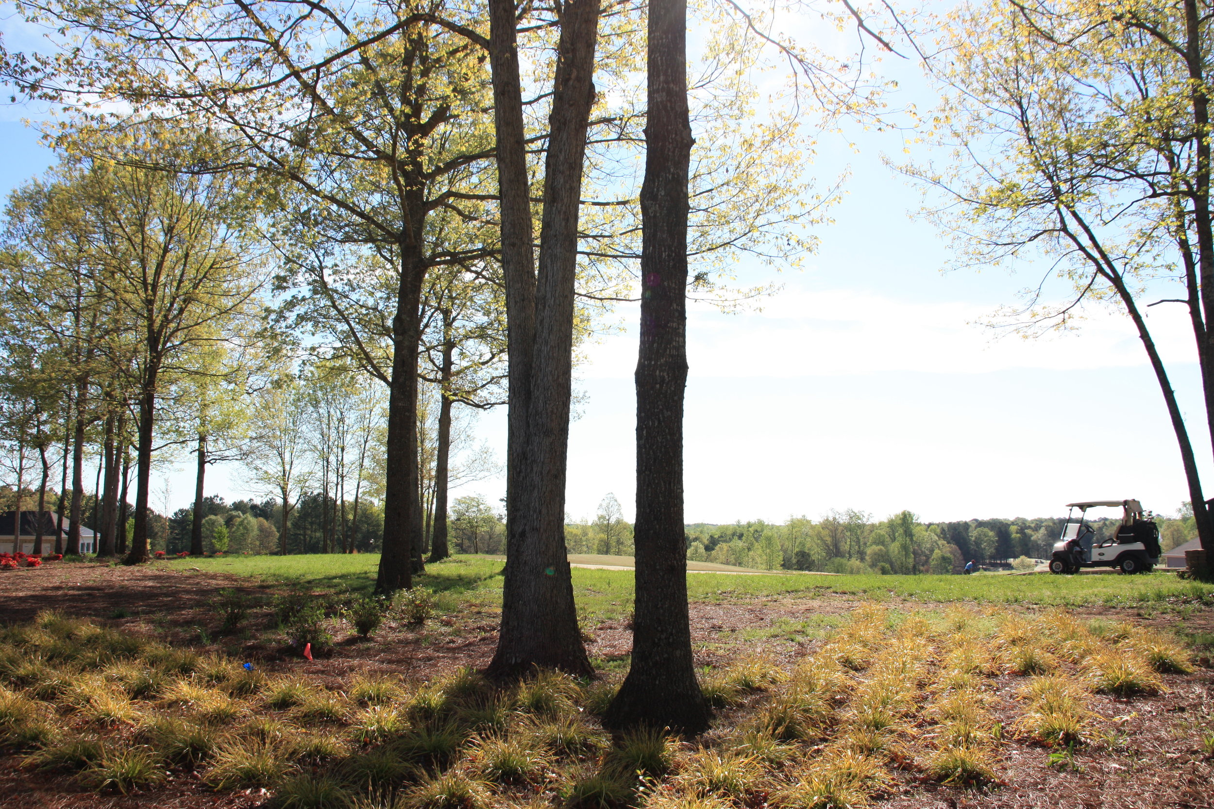 SPG Engineering & Design Athens, GA