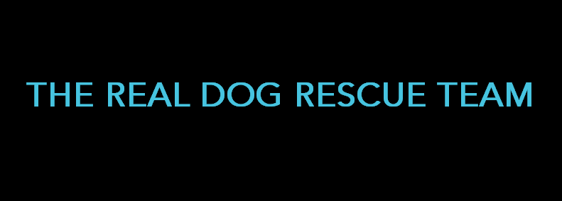 RDRTeam.png