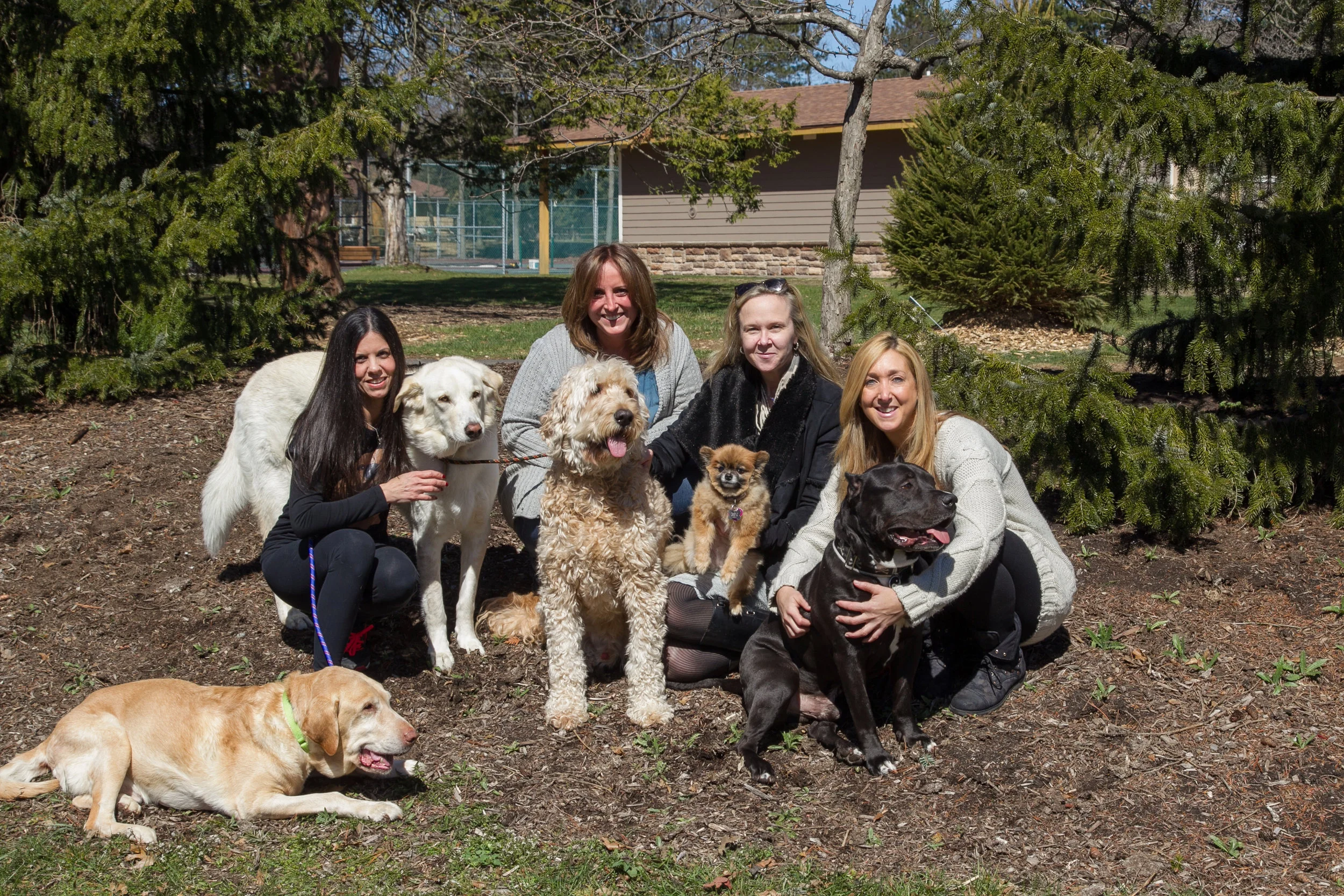 The RDR Founding Team (L to R: Carol, Lisa, Meredith, Robyn)