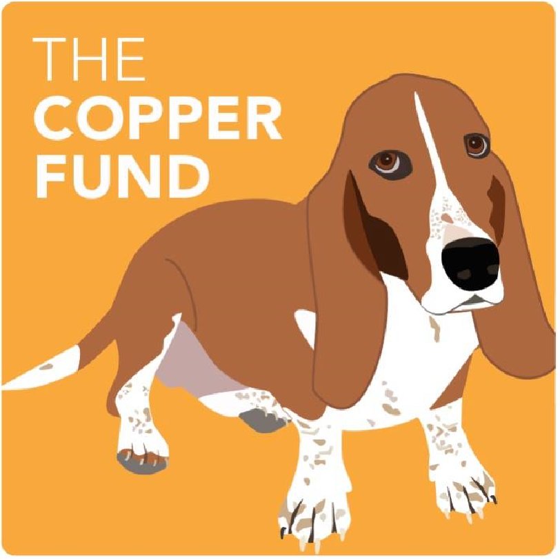 CopperFundGood.png