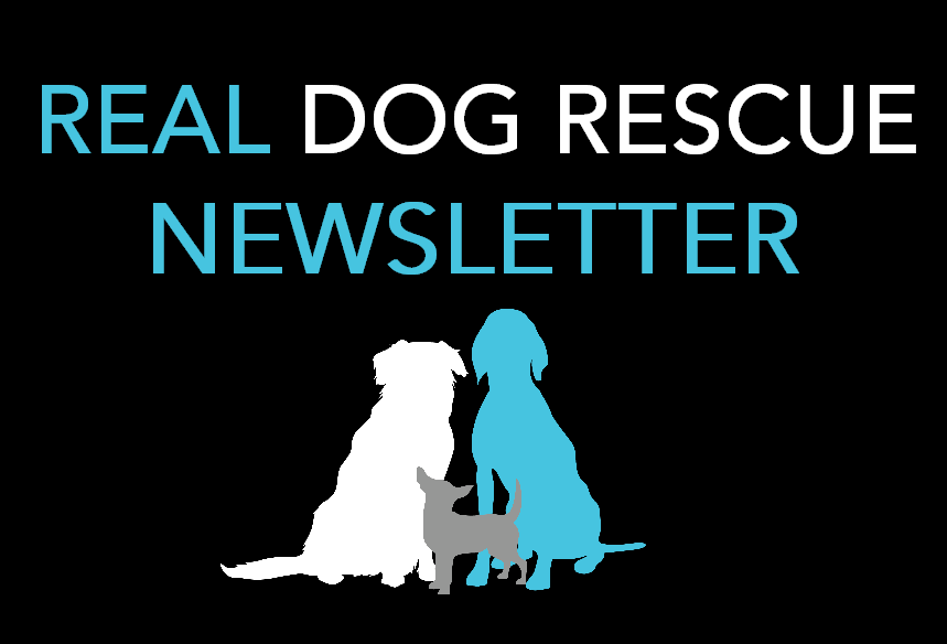Real Dog Rescue, Inc.
