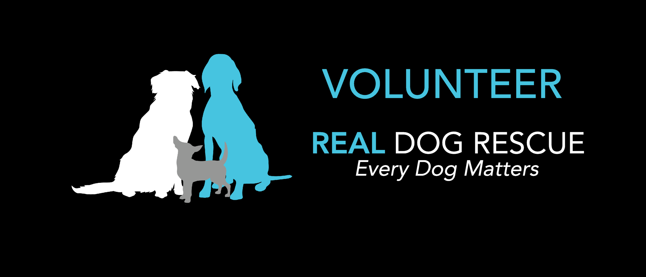 Volunteer2.png