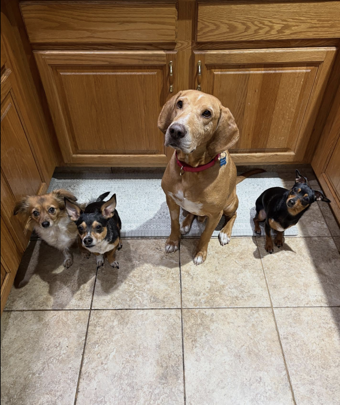 Screenshot 2025-12-18 at 6.09.10 PM.png