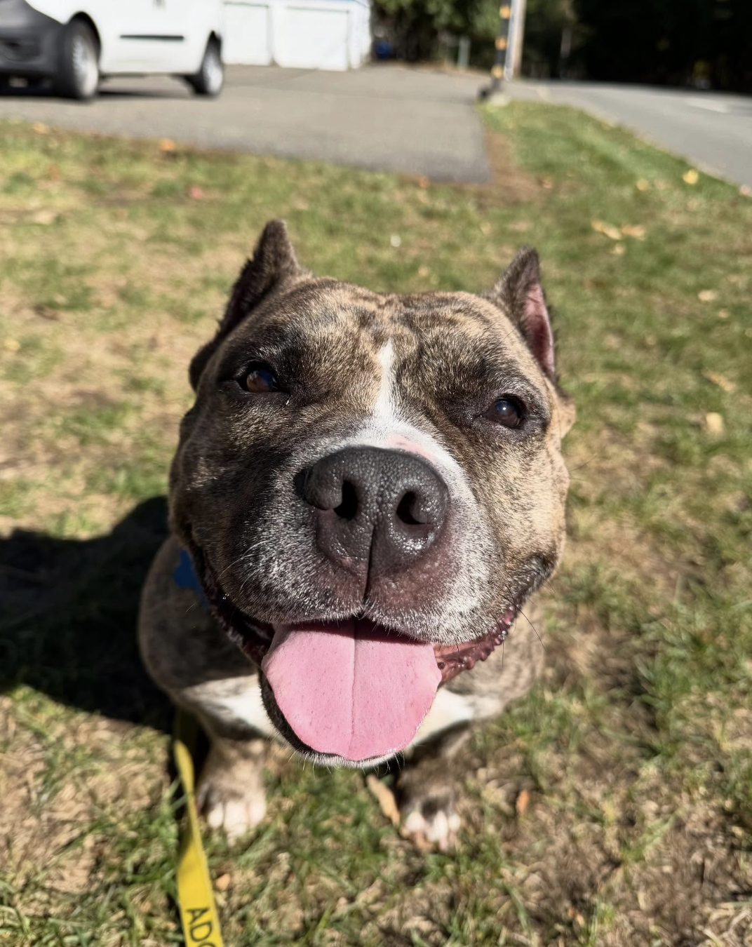 Screenshot 2025-12-18 at 6.22.45 PM.png