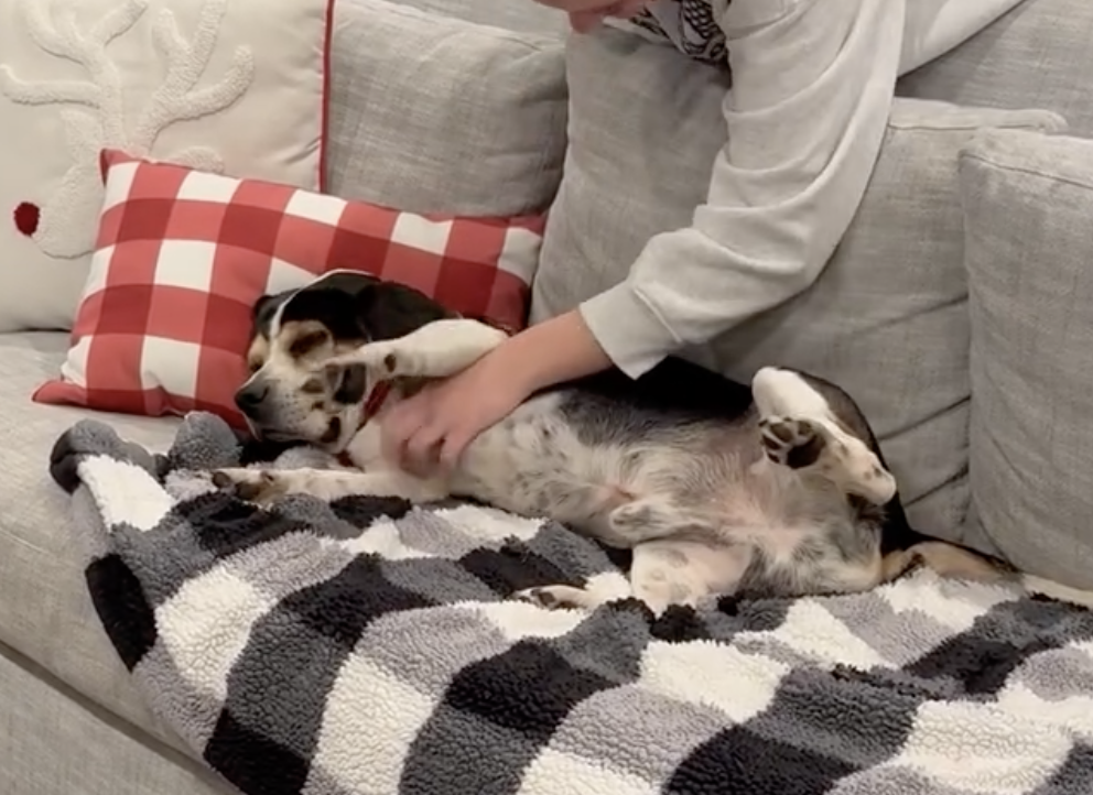 Screenshot 2025-12-18 at 6.29.27 PM.png