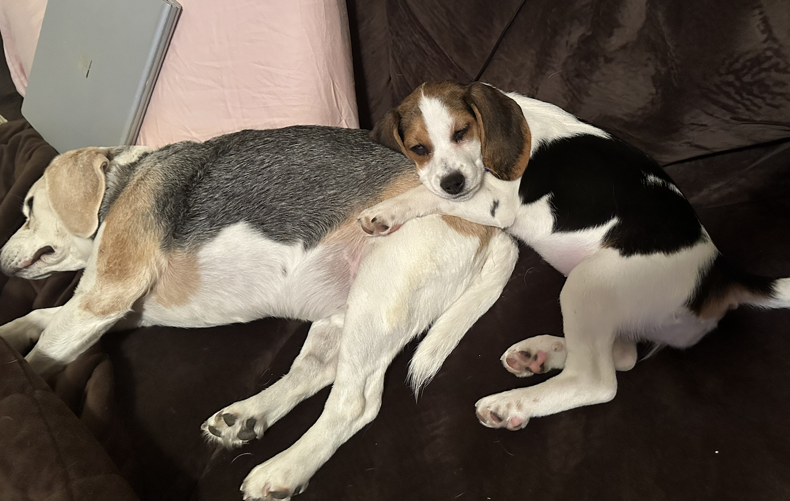 Screenshot 2025-12-18 at 9.10.17 PM.png