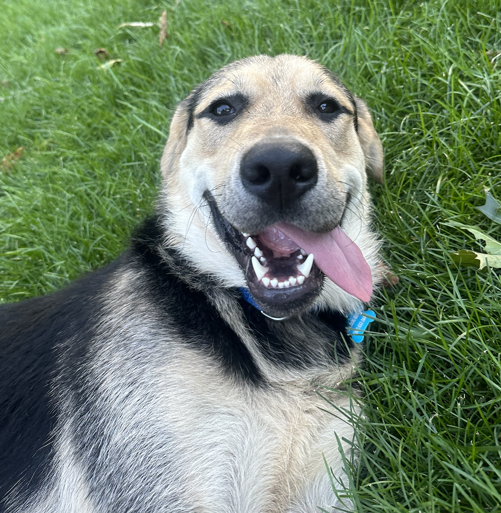 Screenshot 2025-12-18 at 9.10.23 PM.png