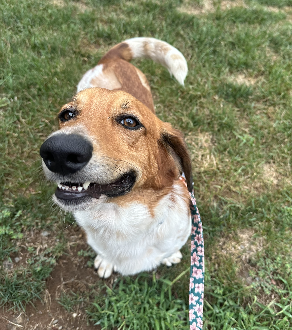 Screenshot 2025-12-18 at 9.10.29 PM.png