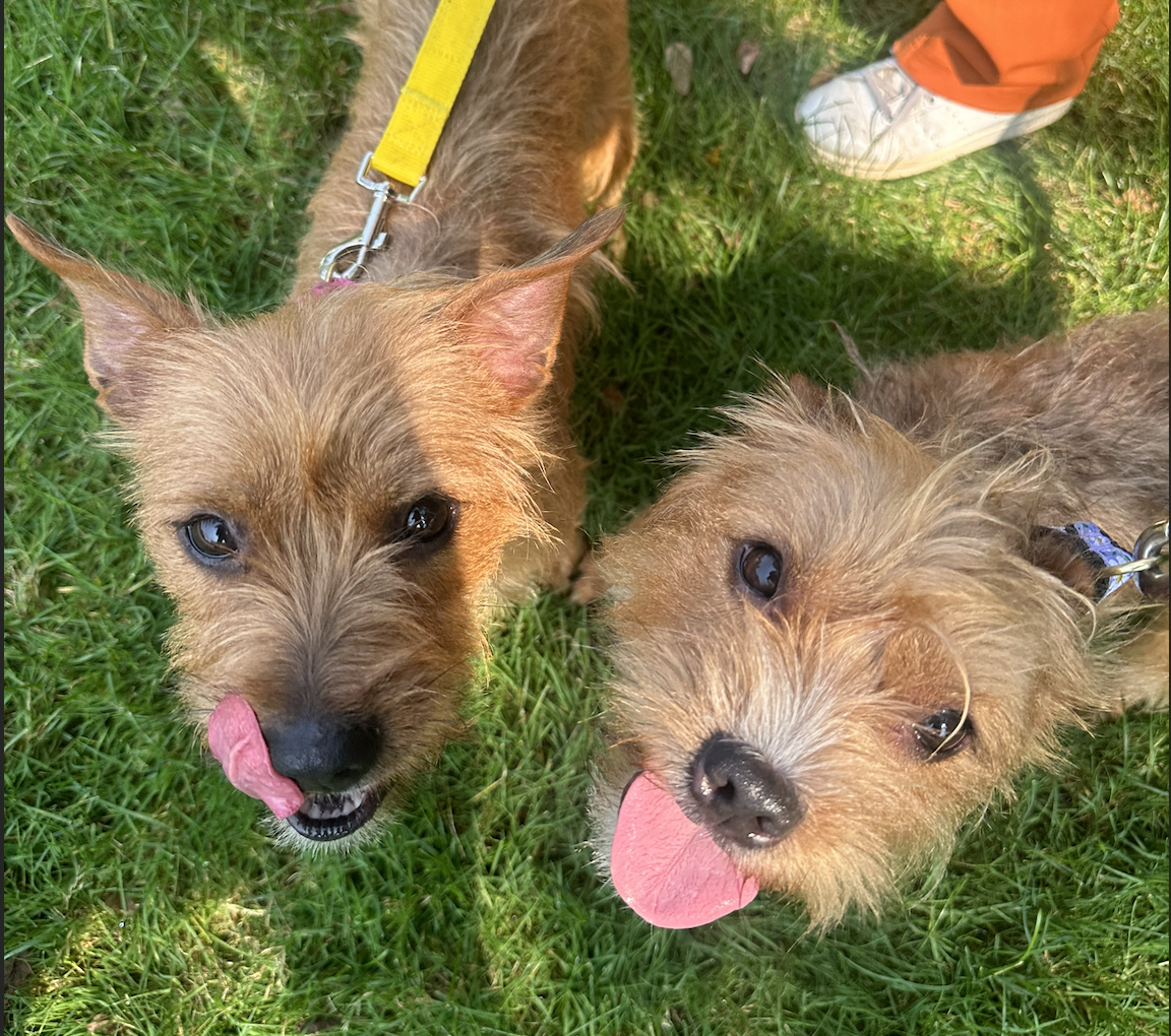 Screenshot 2025-12-18 at 9.10.46 PM.png