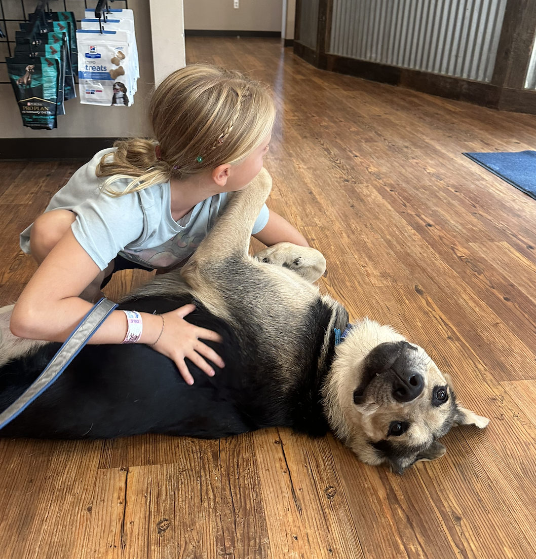 Screenshot 2025-12-18 at 9.11.15 PM.png