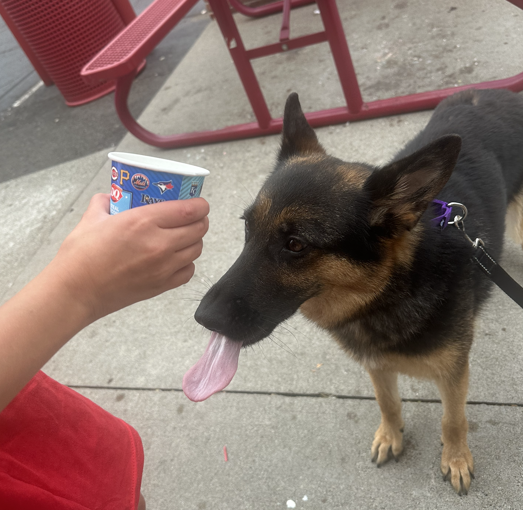 Screenshot 2025-12-18 at 9.11.21 PM.png