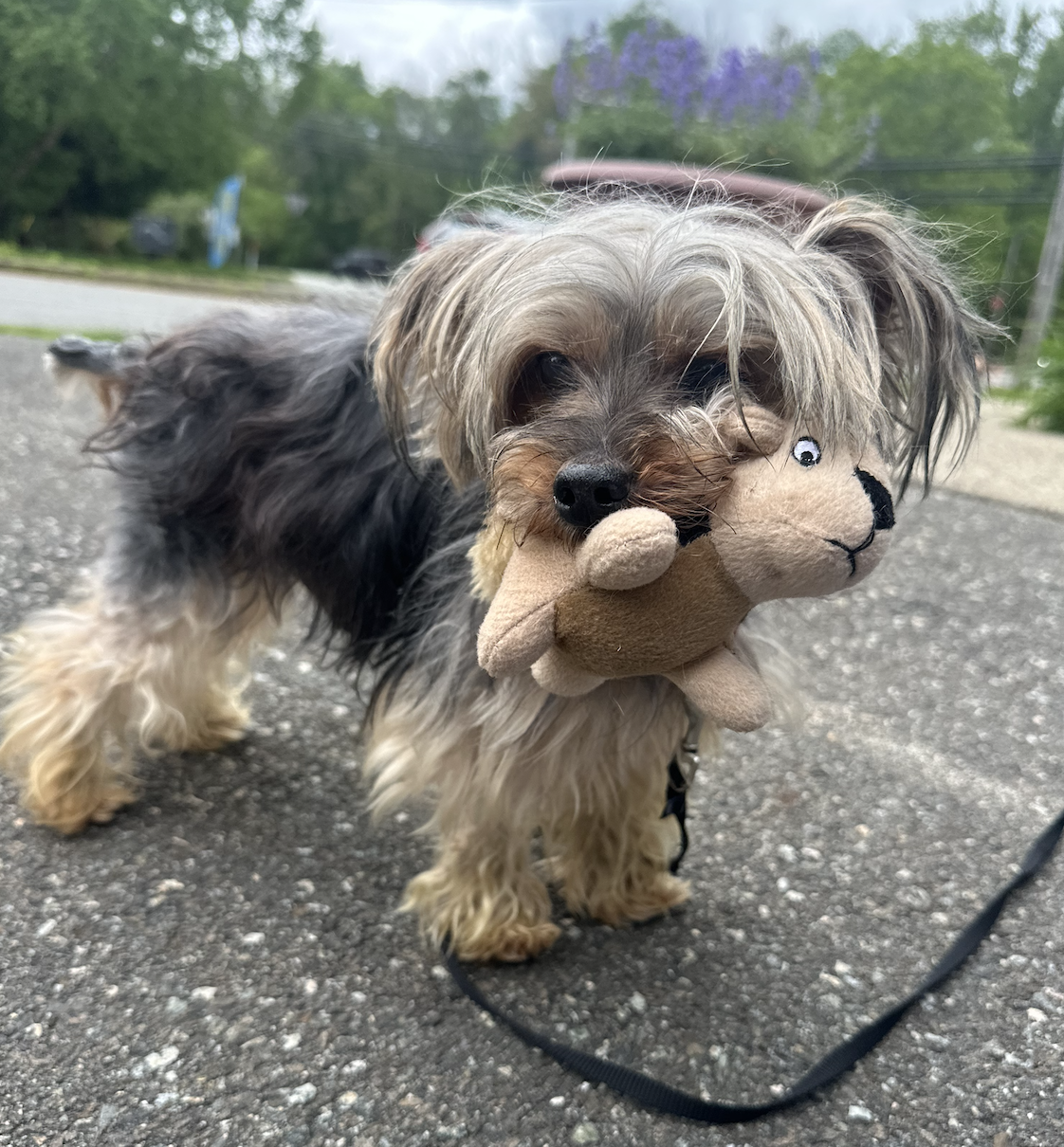 Screenshot 2025-12-18 at 9.11.42 PM.png