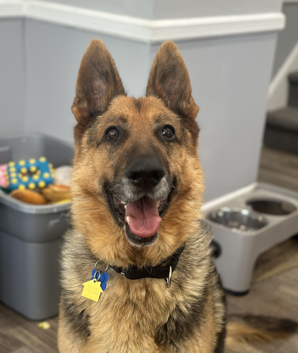 Screenshot 2025-12-18 at 9.11.58 PM.png