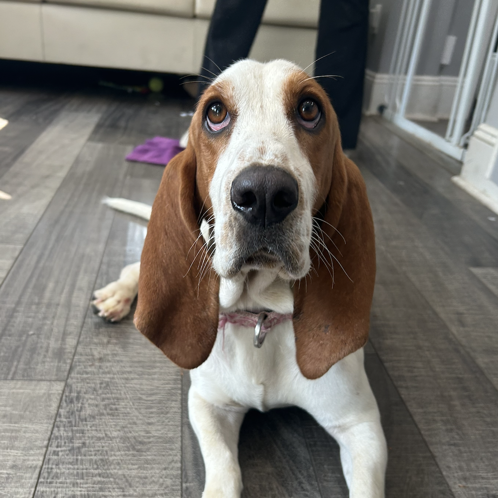 Screenshot 2025-12-18 at 9.12.07 PM.png