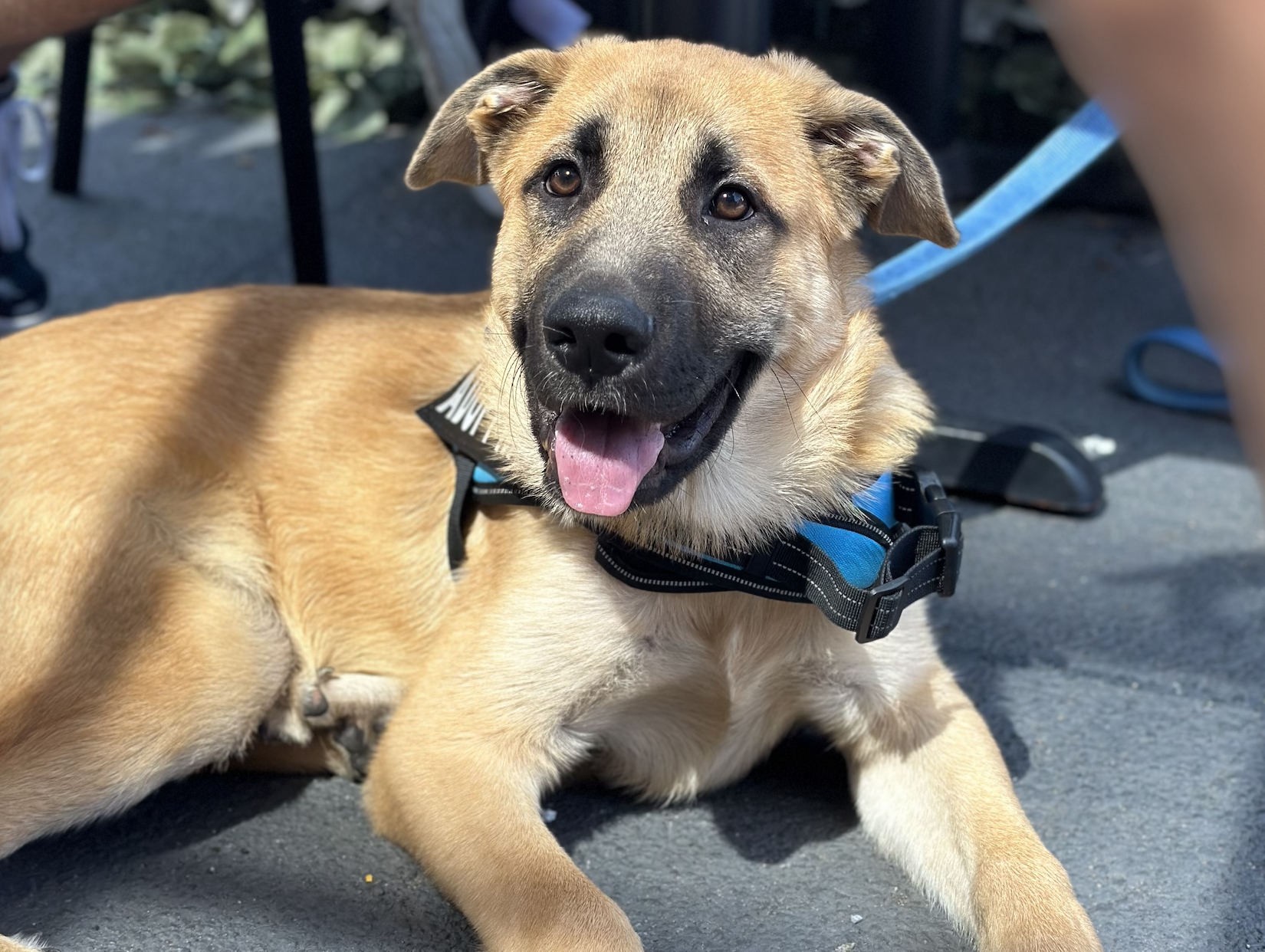 Screenshot 2025-12-18 at 9.12.21 PM.png