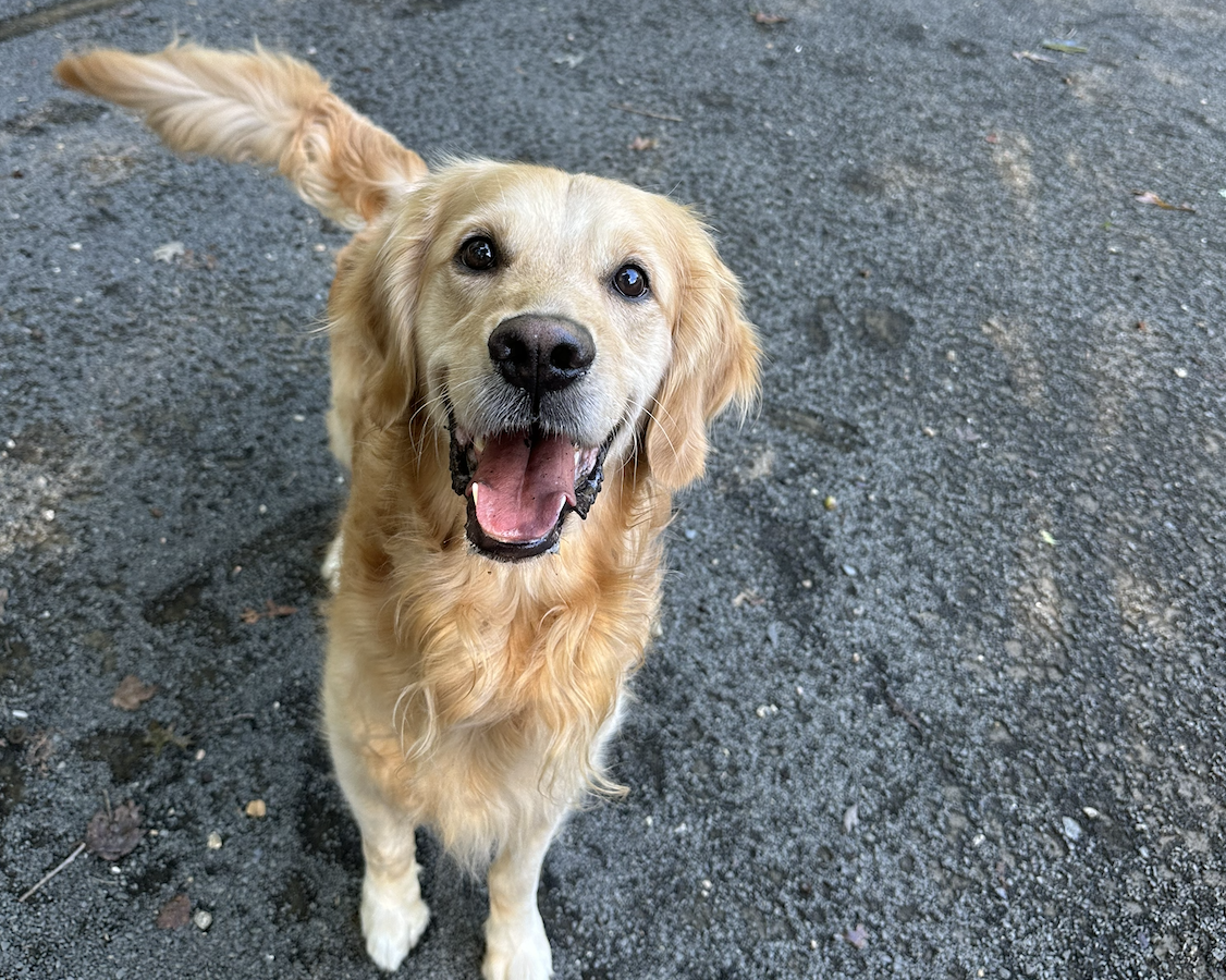 Screenshot 2025-12-18 at 9.12.26 PM.png