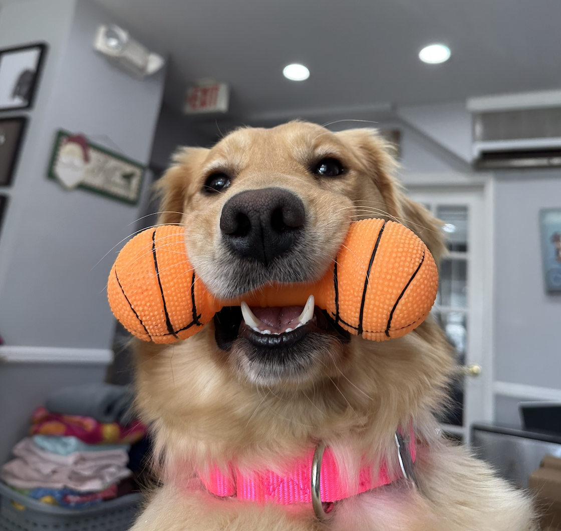 Screenshot 2025-12-18 at 9.12.32 PM.png