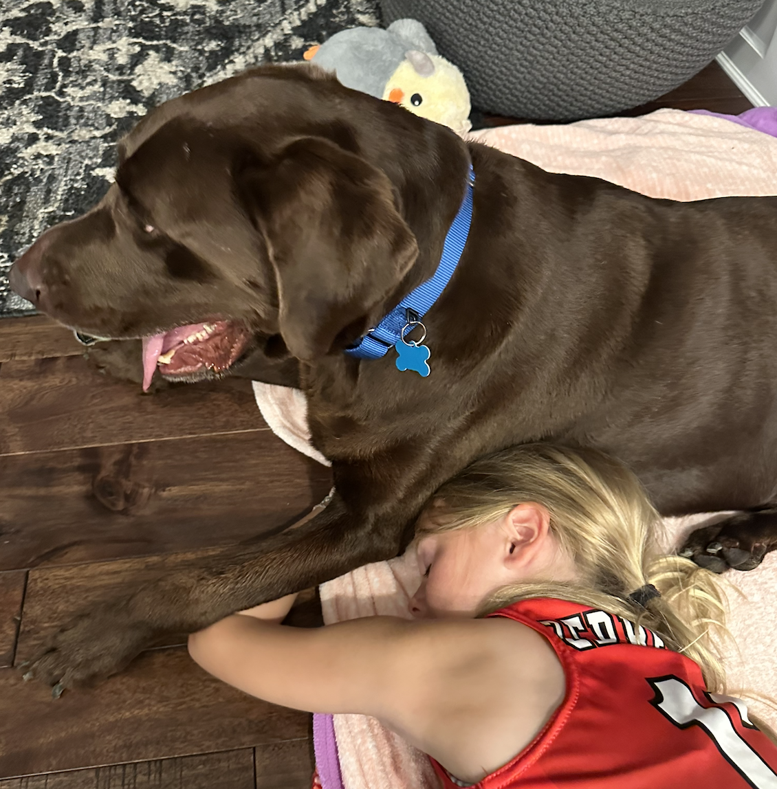 Screenshot 2025-12-18 at 9.12.39 PM.png