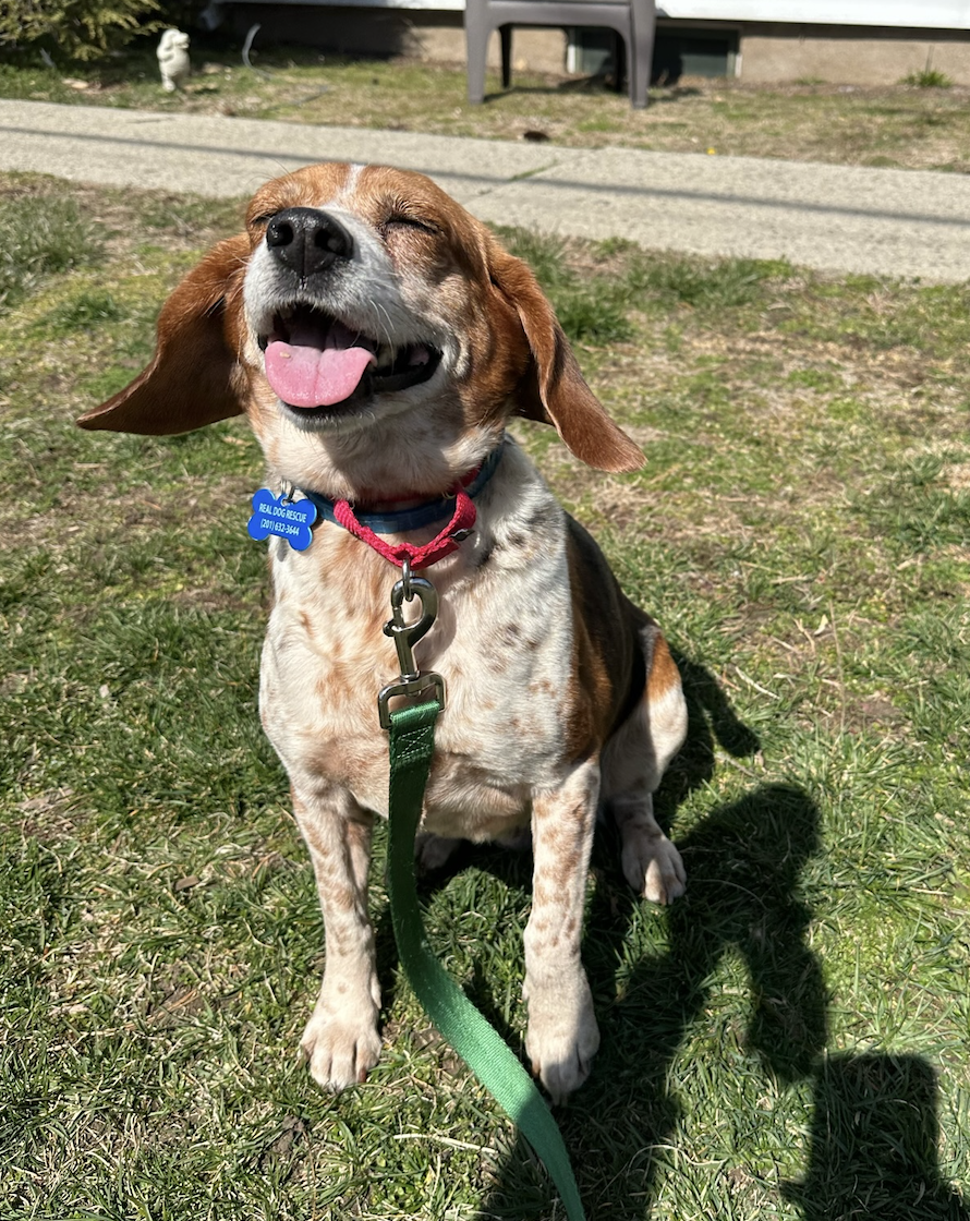 Screenshot 2025-12-18 at 9.12.48 PM.png