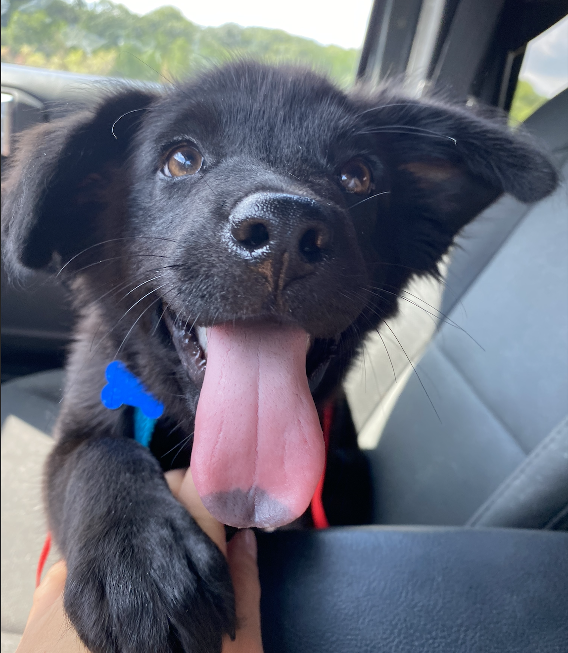 Screenshot 2025-12-18 at 9.12.55 PM.png