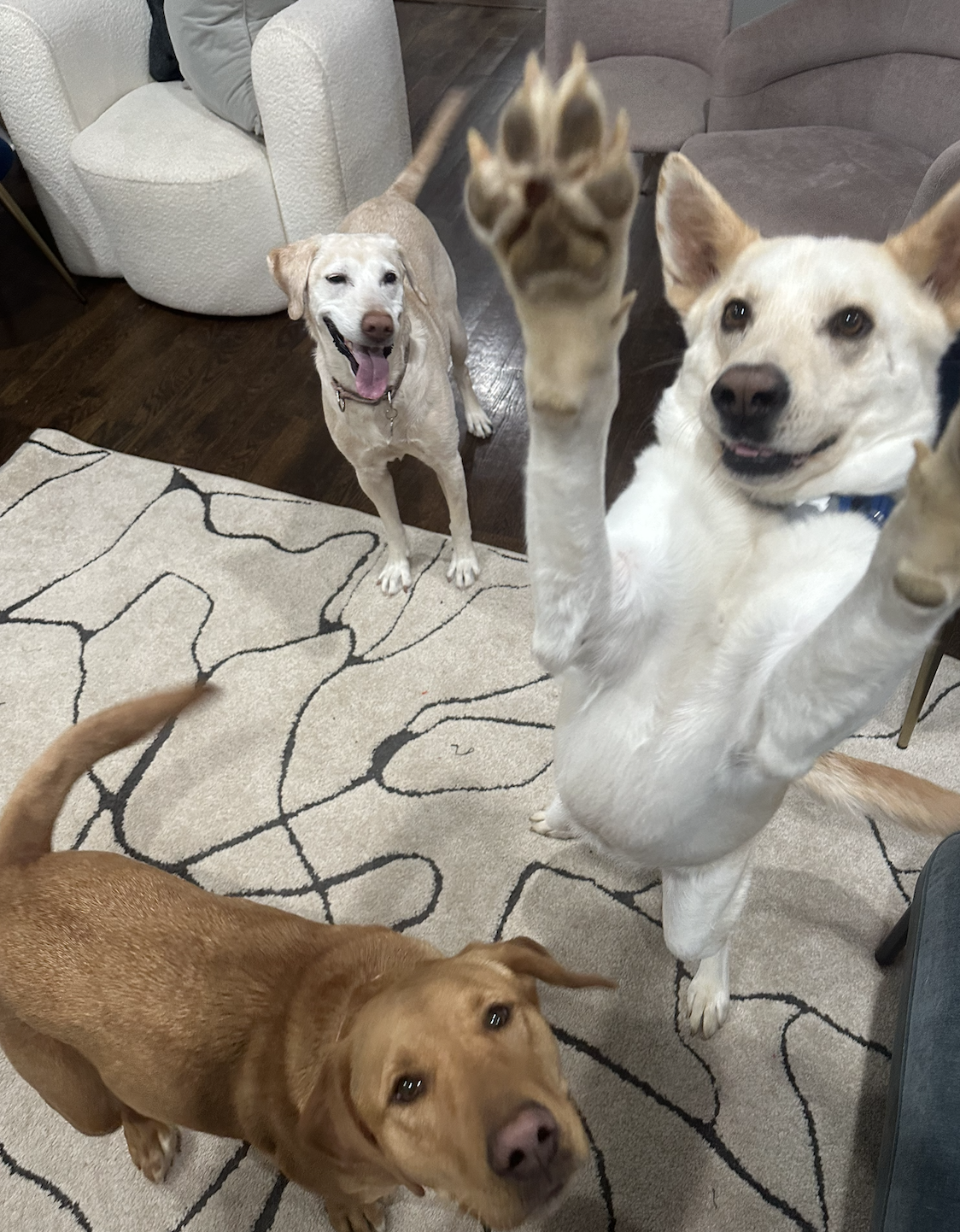 Screenshot 2025-12-18 at 9.13.16 PM.png