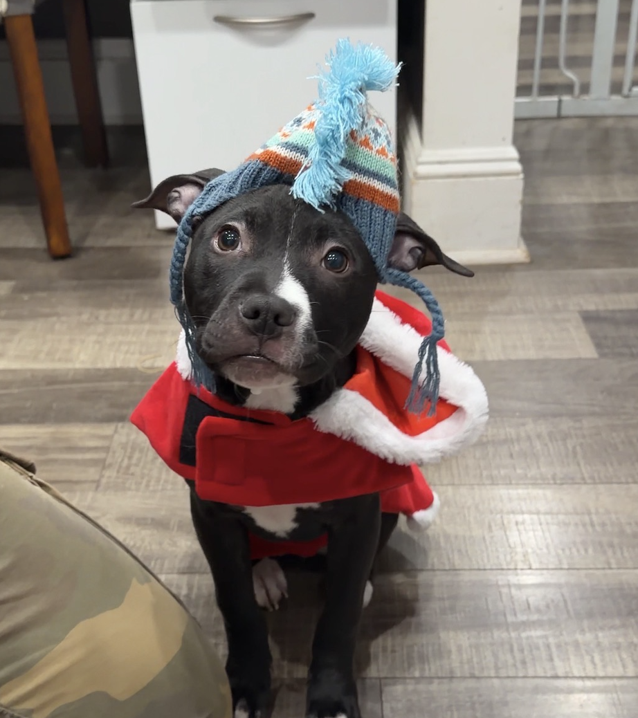 Screenshot 2025-12-18 at 9.13.33 PM.png