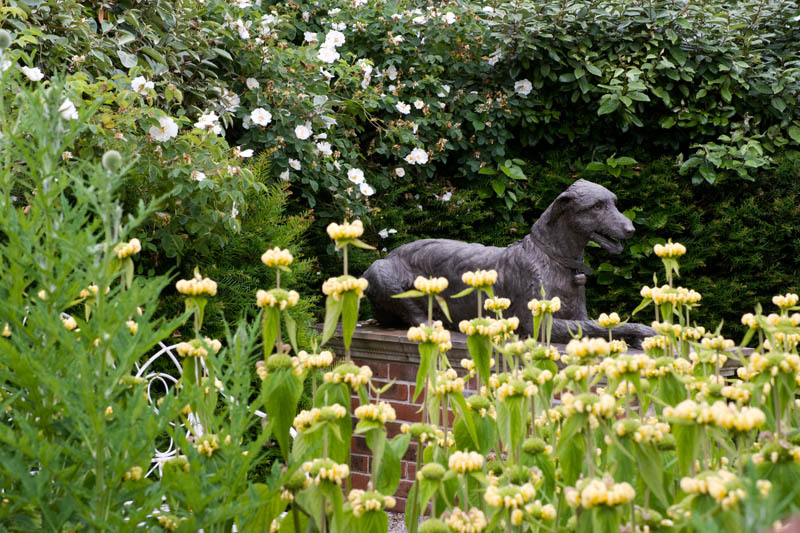 Lamby, sculpture of Irish Wolfhound