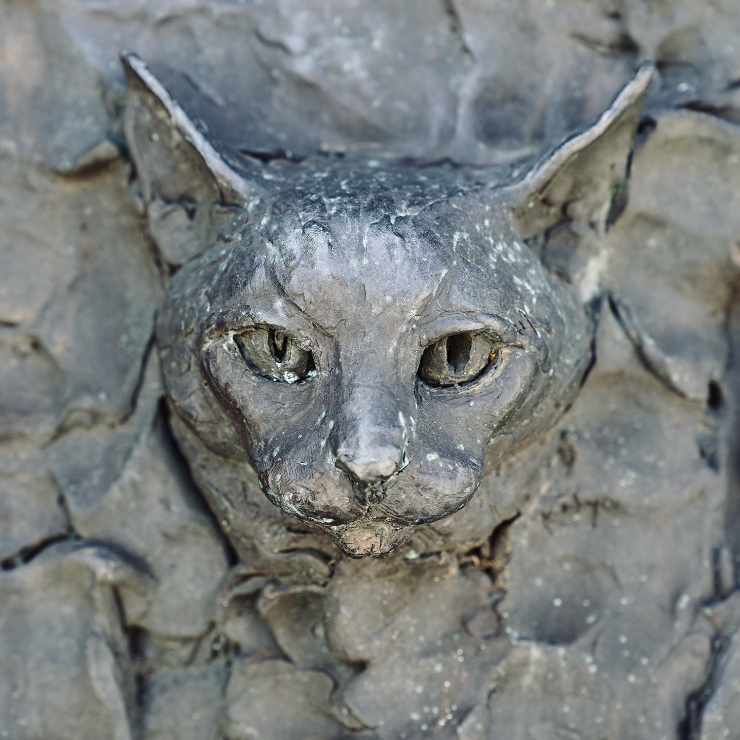 Cat portrait in the Freedom Sculpture by Zenos Frudakis