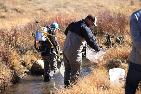 Trainings for Early December