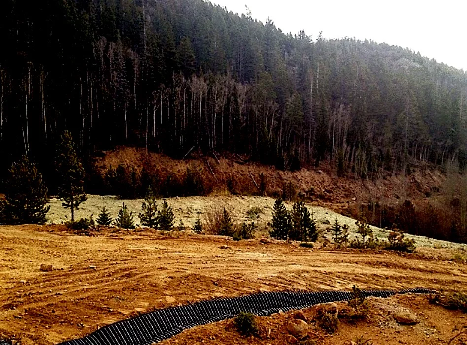 Funding Opportunities for Early December