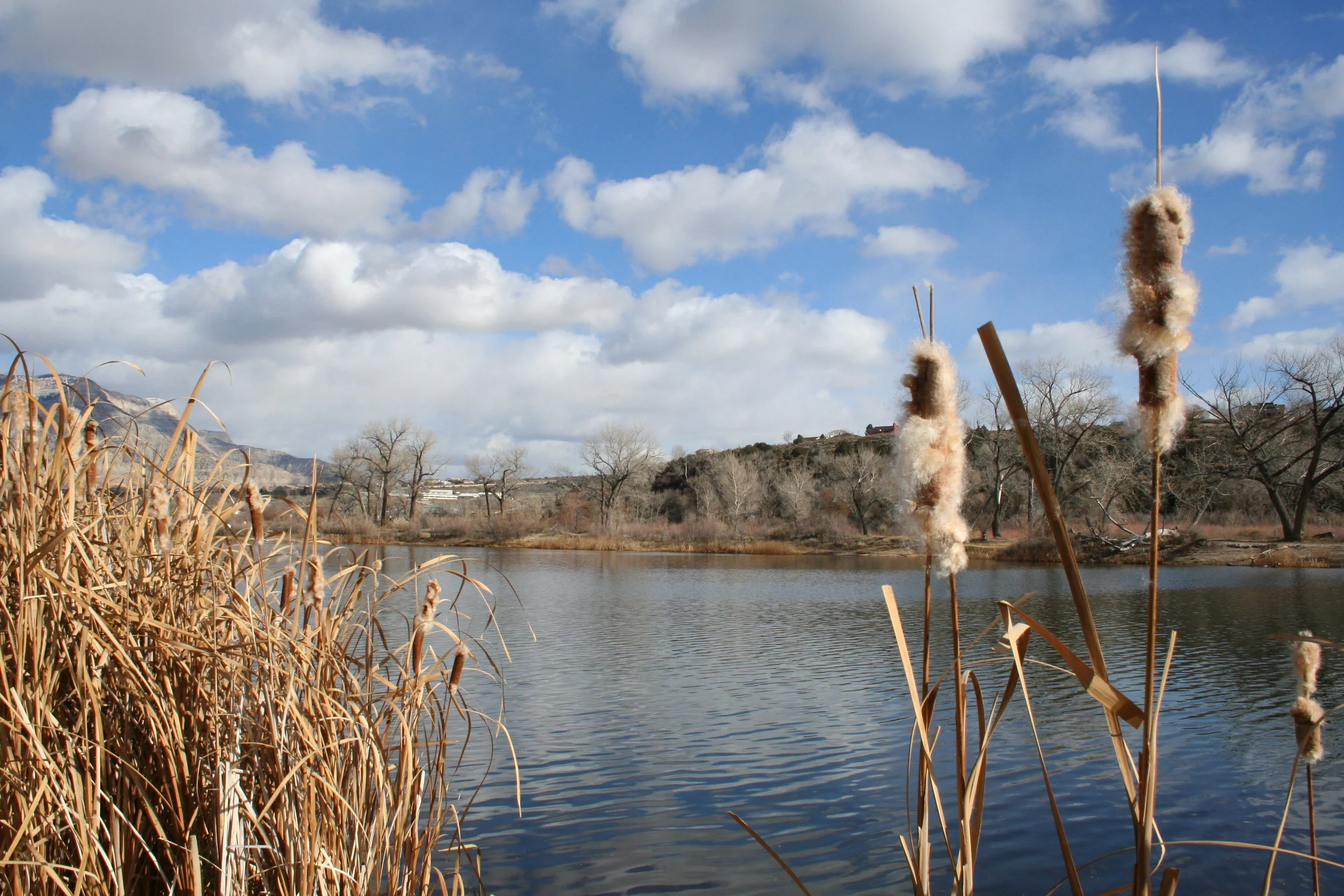 Funding Opportunities Late September