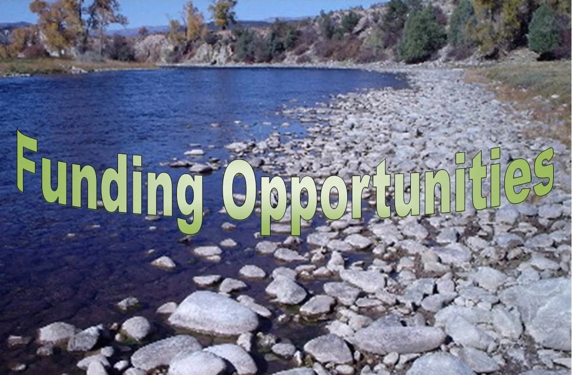 Burry Ranch habitat improvement. The Division of Wildlife has acquired a perpetual fishing easement along 1.25 miles of Gold Medal waters on the Roaring Fork River. Located about four miles northwest of Carbondale on Highway 82, the Burry Ranch hosts world class fishing in the heart of the Roaring Fork Valley. Division of Wildlife. Date taken: 2/9/2004.