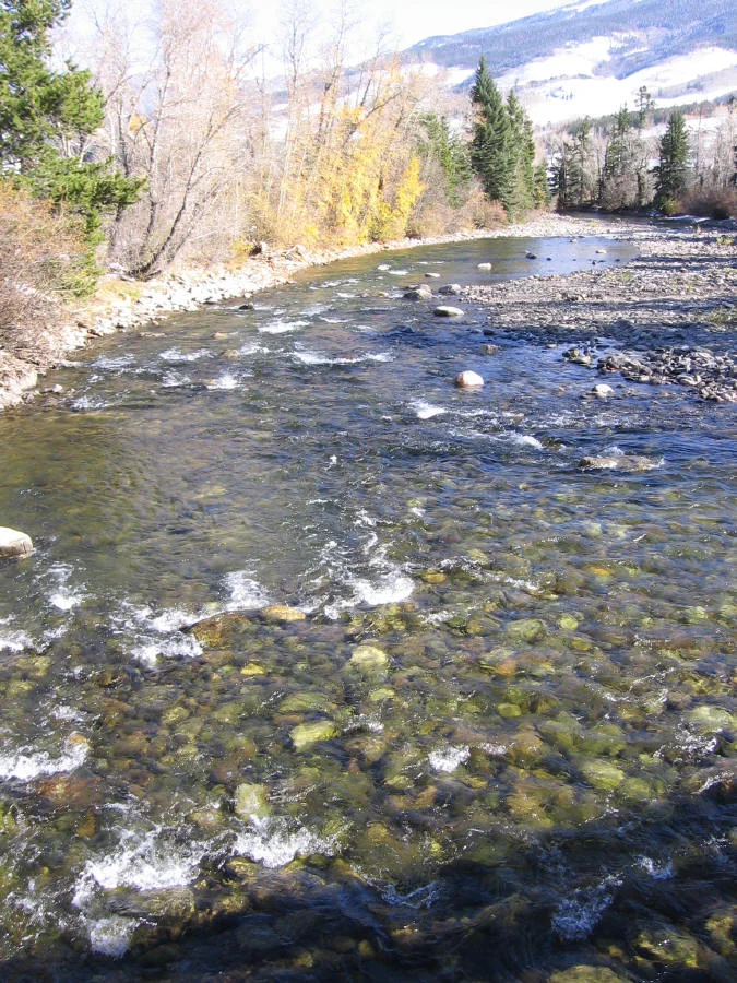 Funding Opportunities Early November