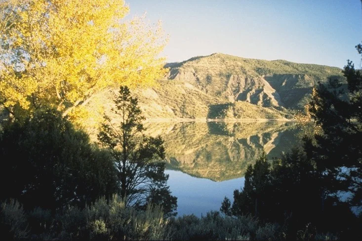 Funding Opportunities Late November