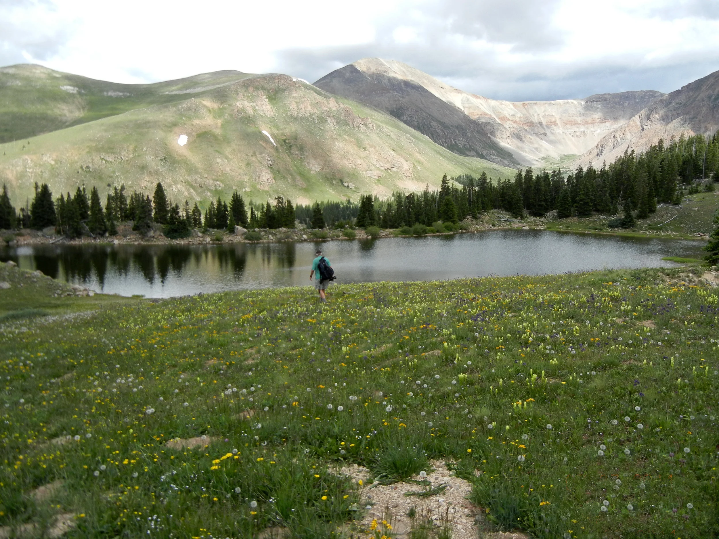 Job Announcements Late November