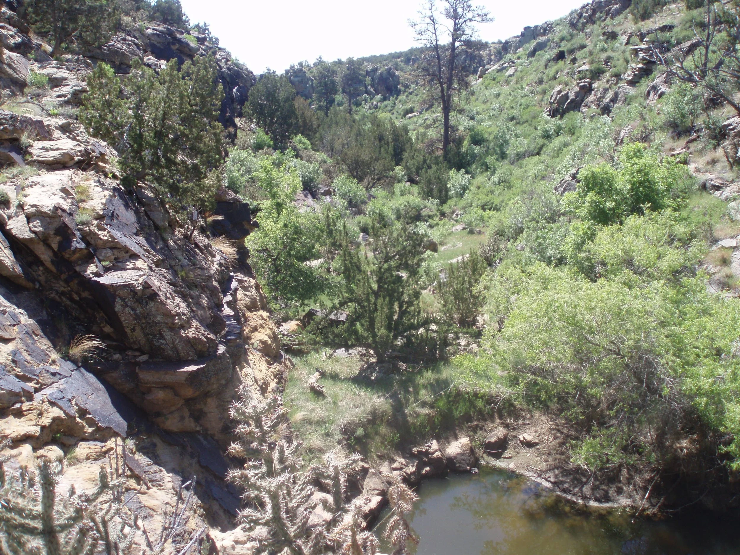 Funding Opportunities Early January