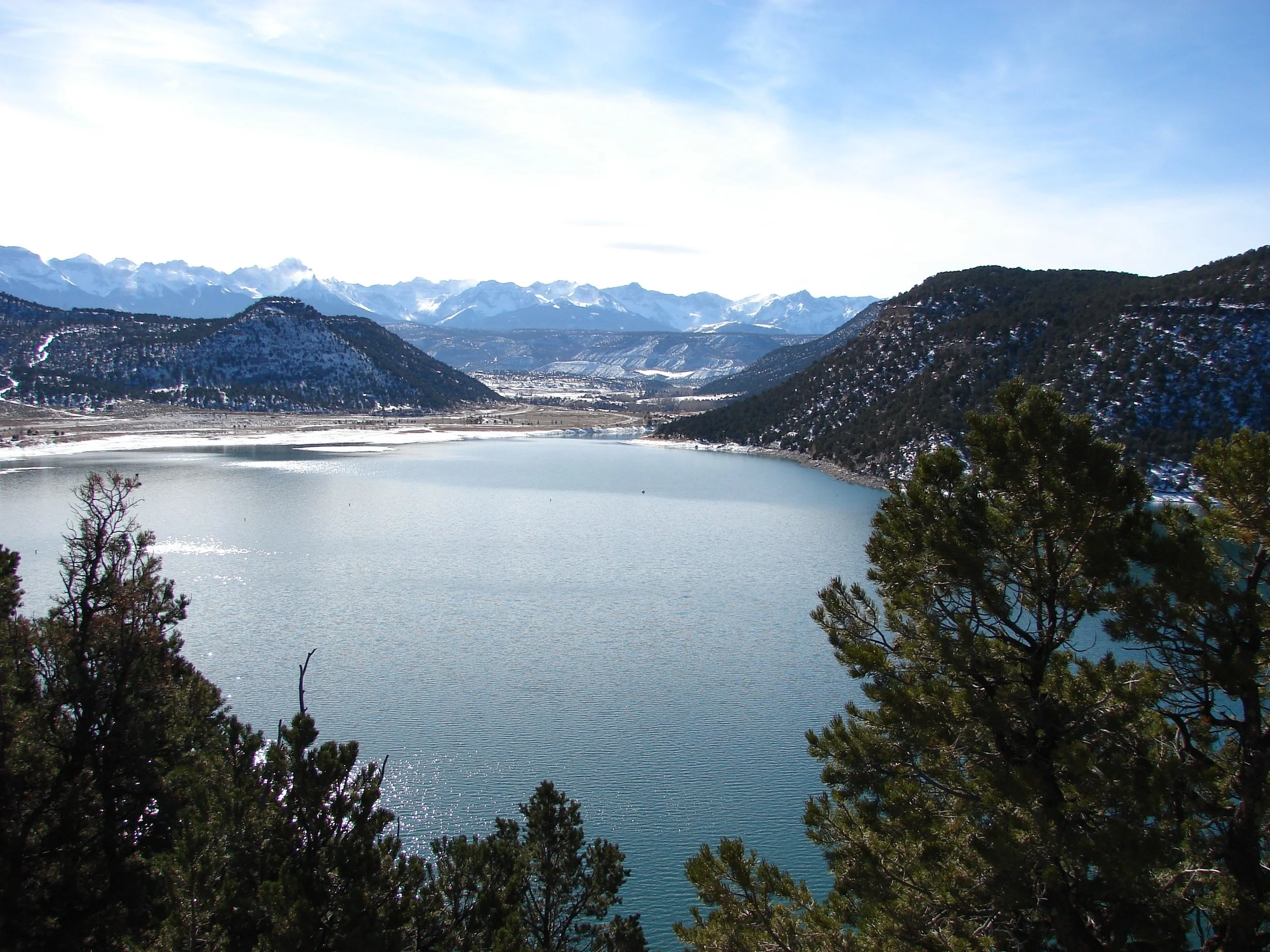 Trainings and Workshops Early January