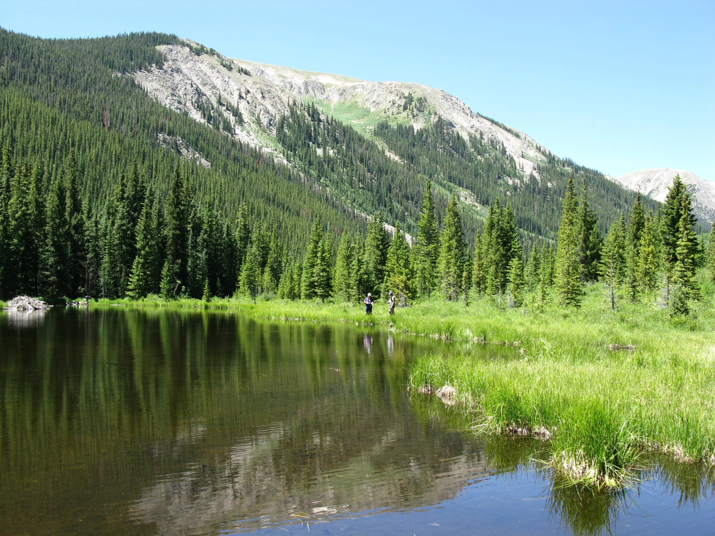 Announcements Early January