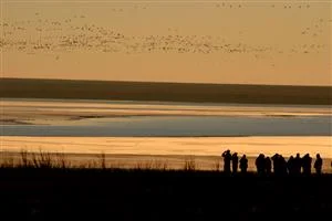 Trainings and Workshops Late January