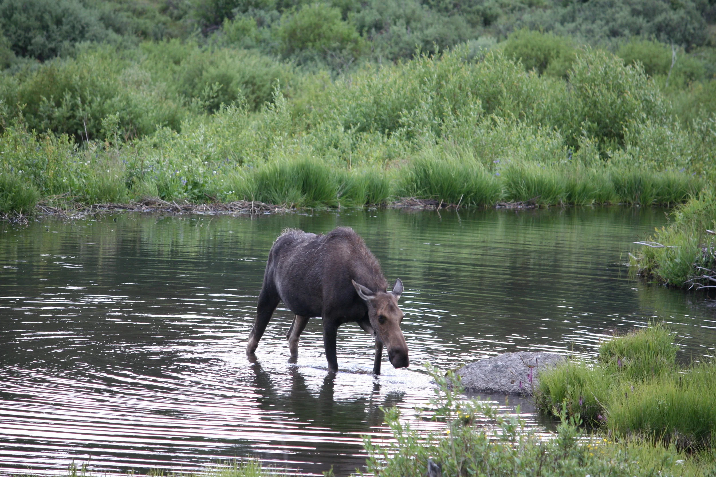 Conferences and Events Early February