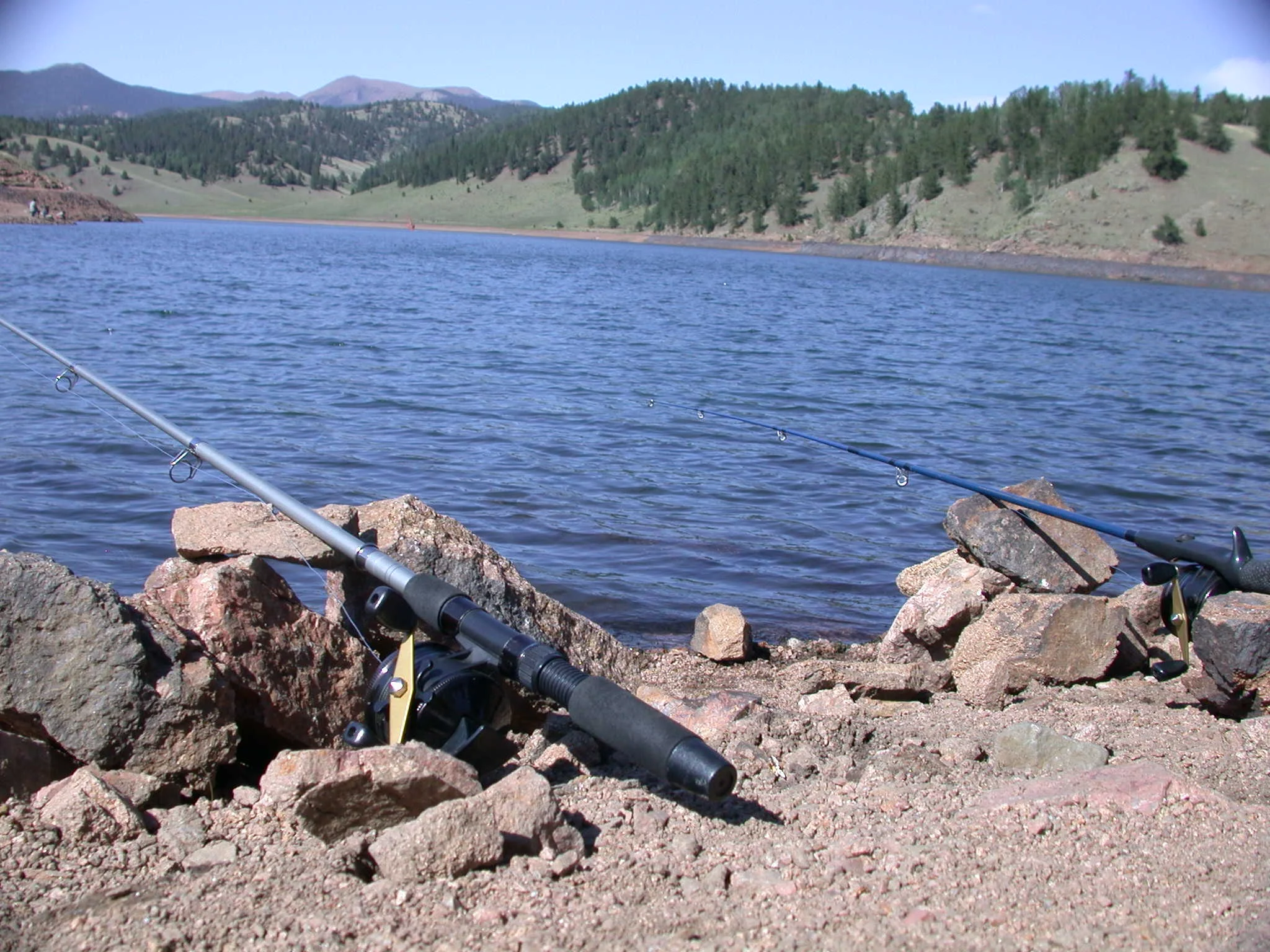 Trainings and Workshops Early March