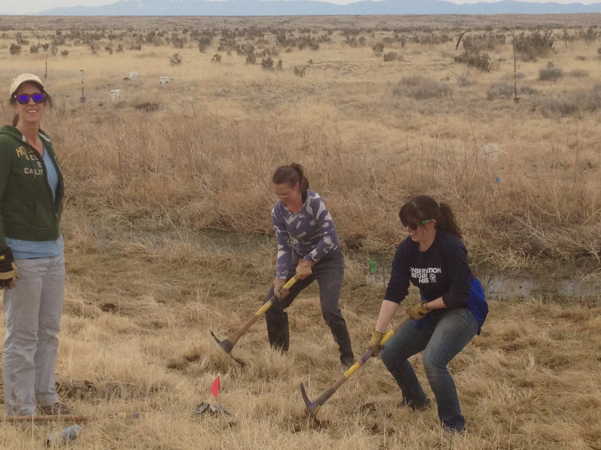 Photo Courtesy Wildlands Restoration Volunteers