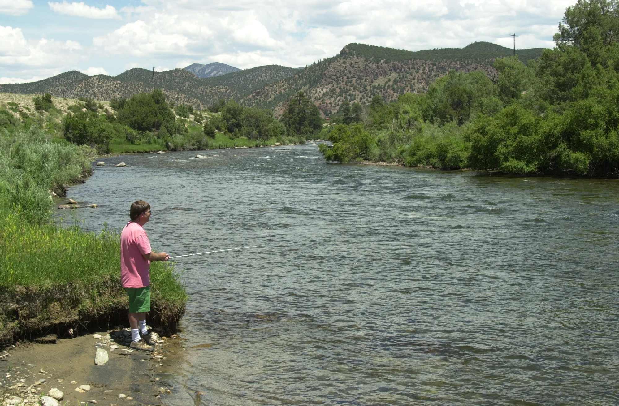 Job Announcements Late March