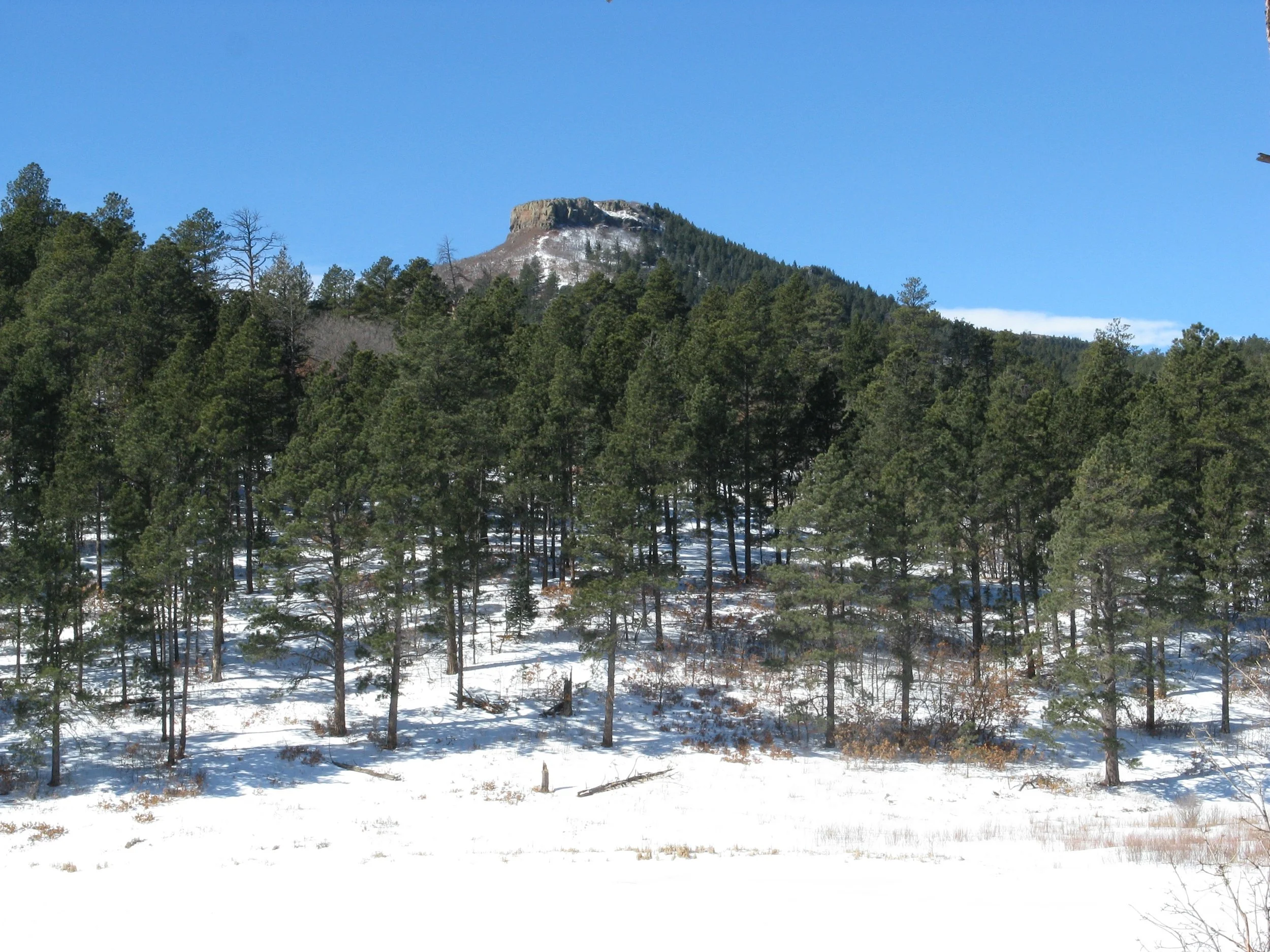 Conferences and Events Early May